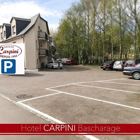 Carpini Hotel 3*