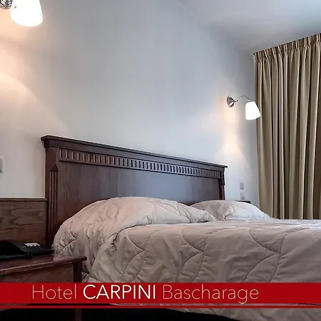 Carpini מלון 3*