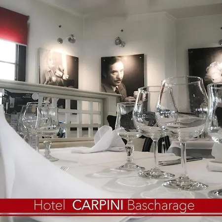Carpini 3*