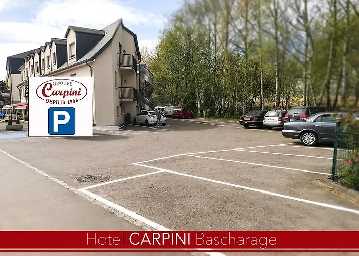 Carpini Hotel 3*
